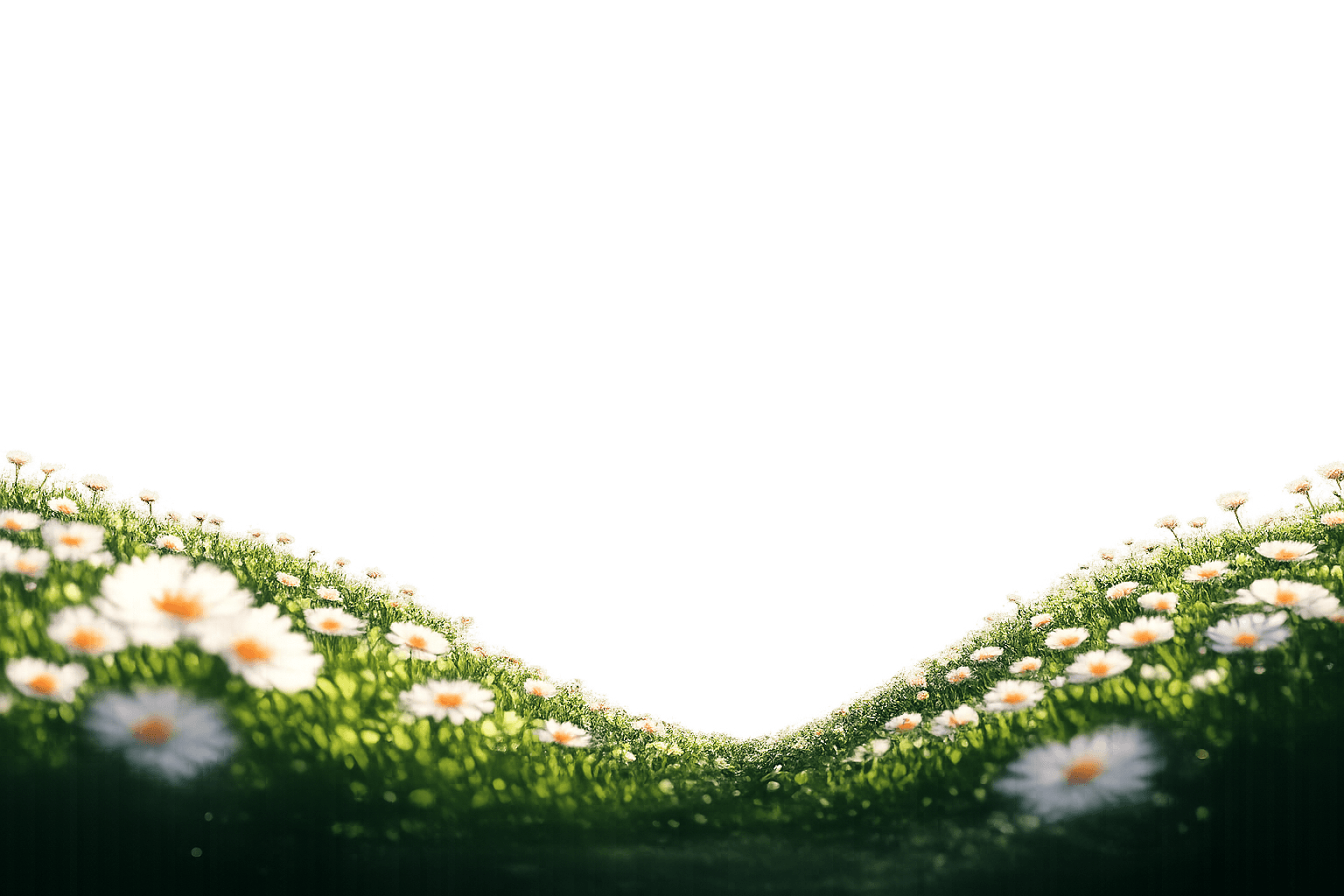Flower-covered hills framing the main preview